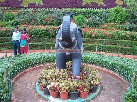 Ooty botanical garden 20