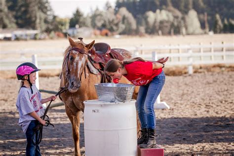 Summer Camps | Fantasy Farms