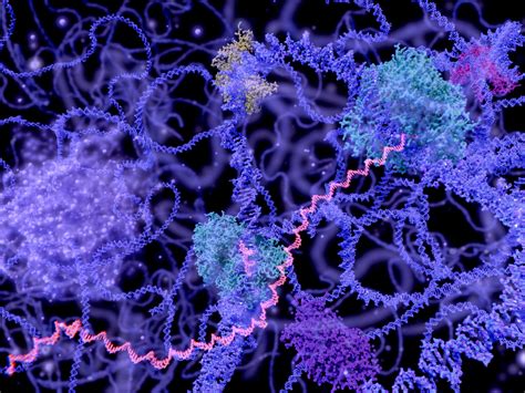 mRNA melanoma cancer vaccine from Merck-Moderna shows promise