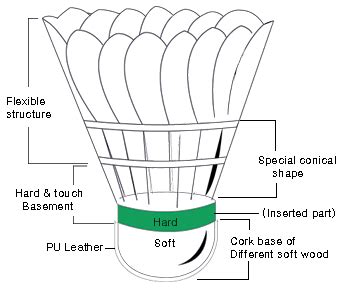 Sports History and News: Badminton Equipment & Accessories