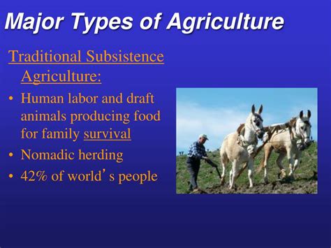 PPT - Types of Farming PowerPoint Presentation, free download - ID:1560344