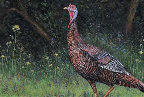 Large Oil Painting Wild Turkey In Field Of Flowers | Etsy