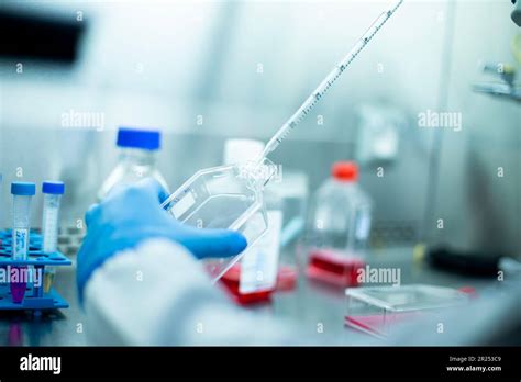 cell culture media Stock Photo - Alamy