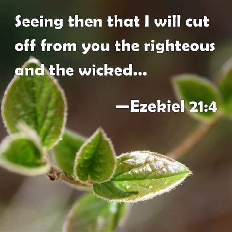 Ezekiel 21:4 Seeing then that I will cut off from you the righteous and the wicked, therefore ...