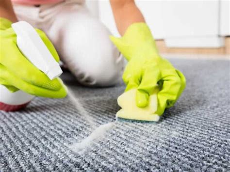 Best Way to Clean Your Carpets And Make them Look Like New