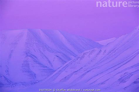 Stock photo of Arctic landscape in winter light, Svalbard, Spitzbergen, Norway. Available for ...