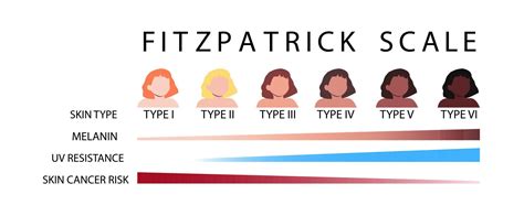 Fitzpatrick scale skin types infographic vector illustration 22511091 ...