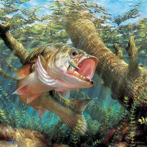 Free Largemouth Bass Wallpapers - Wallpaper Cave