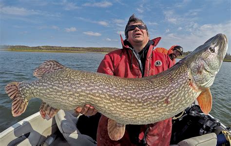 My. Biggest. Pike. Ever. | www.roughfish.com