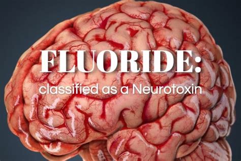 neurotoxin - Google Search