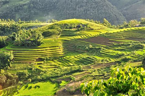 5-five-5: Sapa terraces (Sapa - Vietnam)