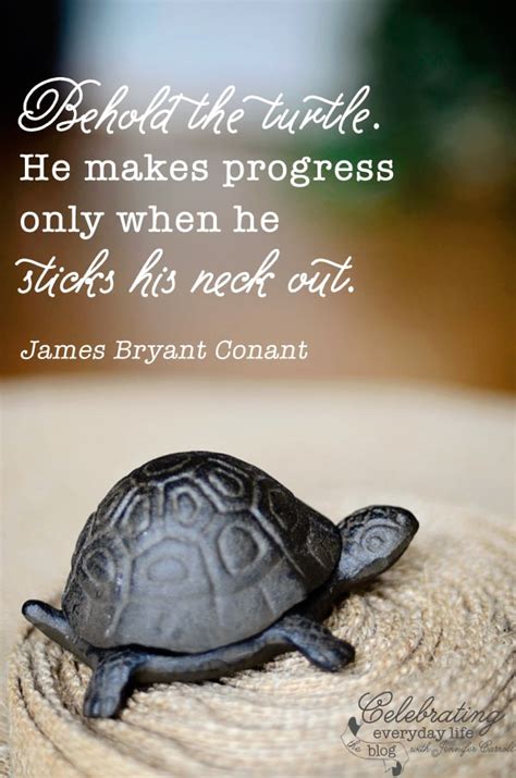 Turtle Birthday Quotes. QuotesGram