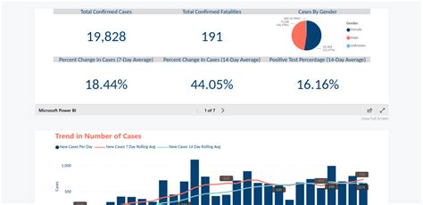 Hillsborough County unveils its own coronavirus dashboard | WFLA