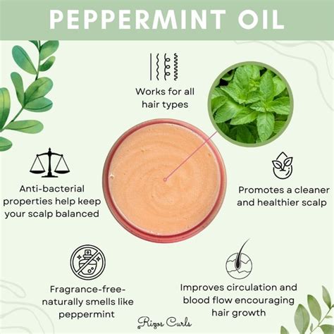 Benefits of Peppermint Oil for Scalp Health - Curly Life Australia