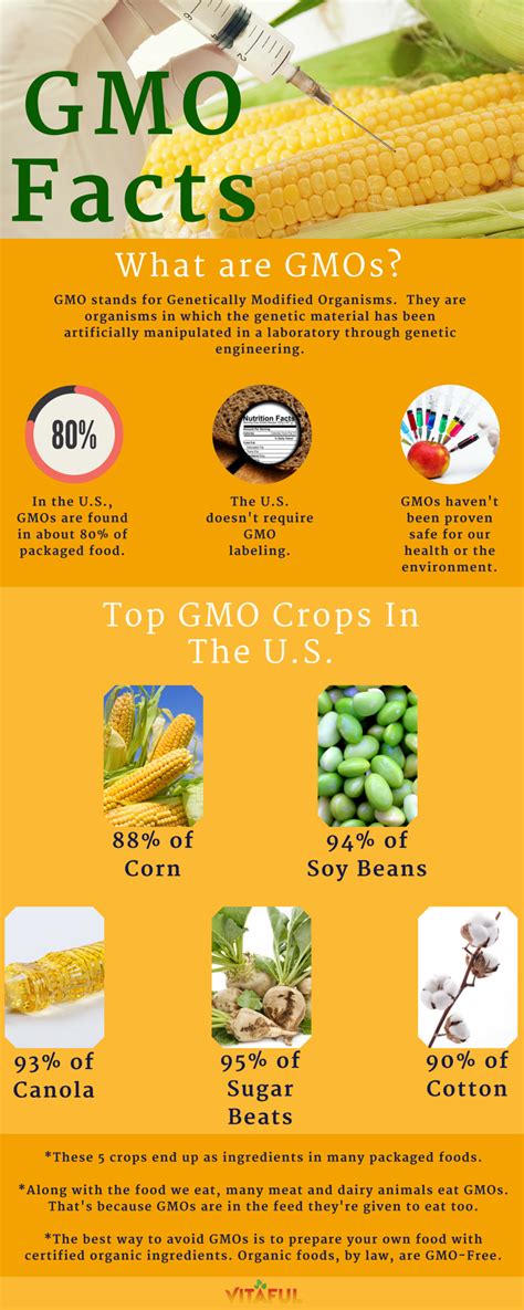 An Overview Of GMOs. Includes a List of Top GMO Crops in the U.S. And How To Avoid Eating GMOs ...