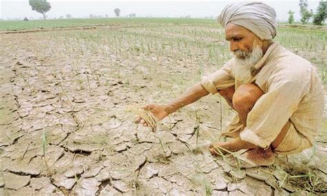 Strengthening agriculture through dryland farming - Newspaper - DAWN.COM