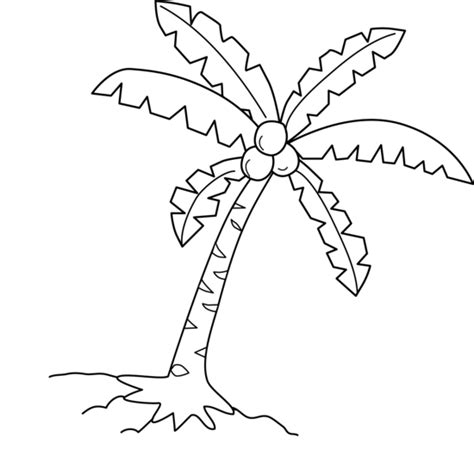 Coconut Tree Coloring Page - Free Clip Art