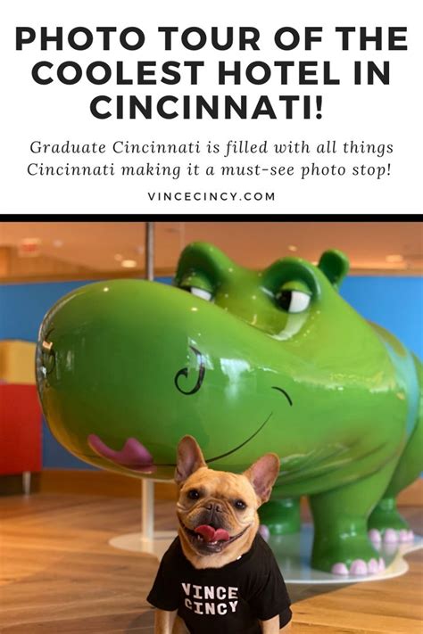 Visit the Graduate Cincinnati, a pet-friendly hotel near the University ...