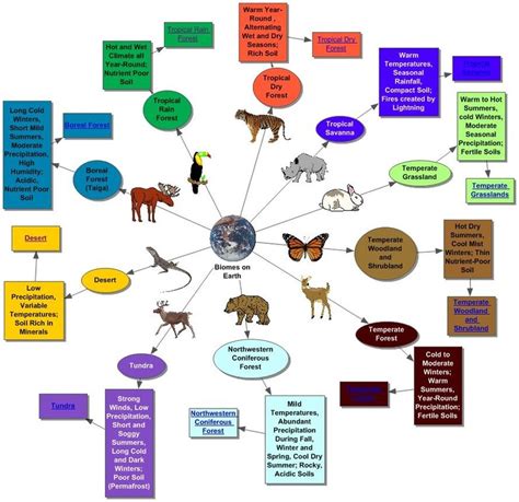 Graphic Organizer - Biomes Class Project