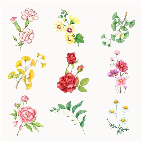 Aesthetic flower sticker, floral & botanical design vector set | premium image by rawpixel.com ...