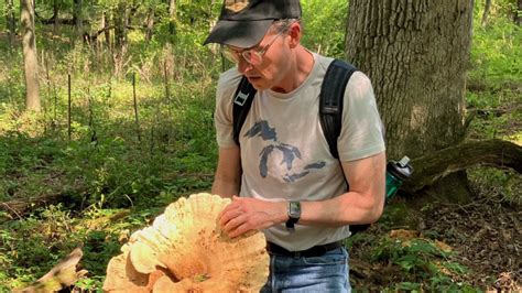 Penn State professor elected to Mycological Society of America leadership | Penn State University