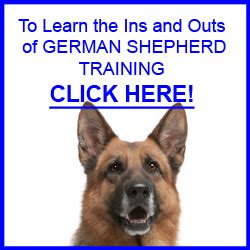 German Shepherd Training Tips | German Shepherd Training