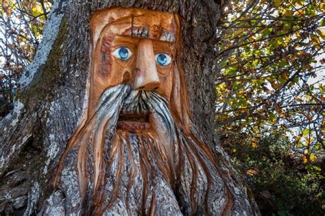 El Bosque Encantado: un lugar de cuento cerca de Málaga