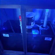 75 Gallon Acrylic Aquarium for sale| 55 ads for used 75 Gallon Acrylic Aquariums