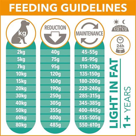 Best Weight Loss Dog Foods (Guide Updated July 2024)