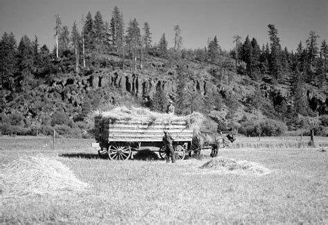 Klickitat County -- Thumbnail History - HistoryLink.org