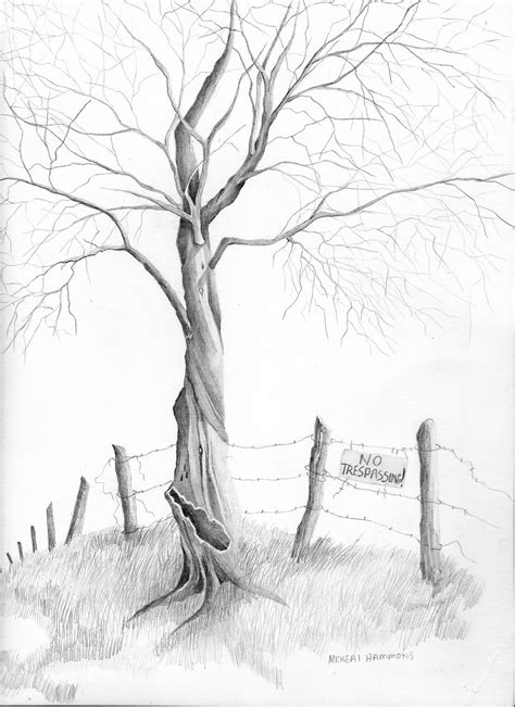 Pencil Tree Drawing