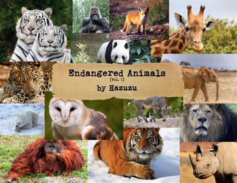 Endangered Species Animals Bundle 7 Pages collage sheets | Etsy