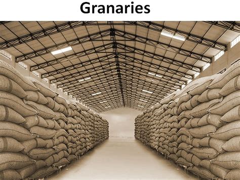 Storage of Grains - Different methods used in India - Teachoo