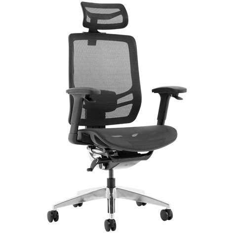 Ergo Posture 24 Hour All Mesh Office Chair with Headrest