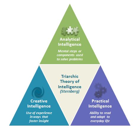 Chapter 4--Sternberg's Triarchic theory of Intelligence Diagram | Quizlet