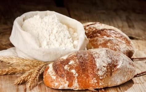 The 5 Best Substitutes For Manitoba Flour | Americas Restaurant