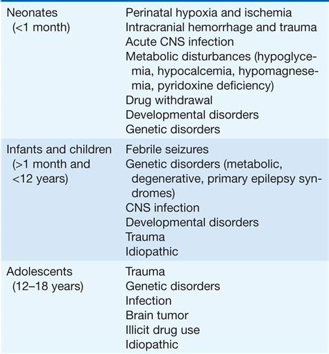 What Causes Seizures In Children / Preparing For And Recovery After Your Child S Epilepsy ...