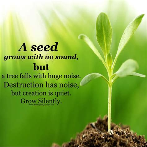 tree planting quotes and sayings - Bravura Weblogs Portrait Gallery