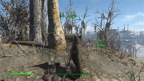 How to use your loyal companion : r/fo4