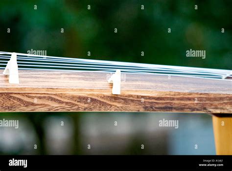 Traditional Japanese Koto Stringed Instrument Stock Photo - Alamy