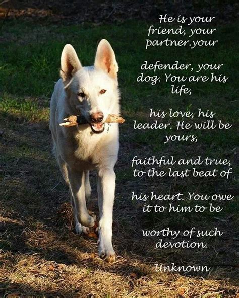 Pin by Deepika Dk on Bundle of Trust....animals | Dog poems, Dog quotes ...