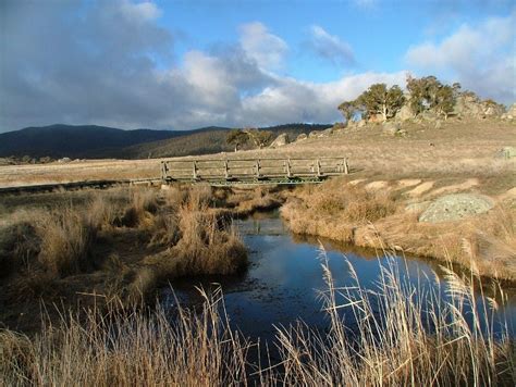 Part of the "Yankee Hat" walk in the Namadgi National Park, just outside Tharwa NSW Camping ...