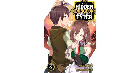 The Hidden Dungeon Only I Can Enter (Light Novel) Vol. 4 by Meguru Seto