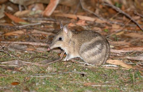 Tasman National Park | Parks & Wildlife Service Tasmania