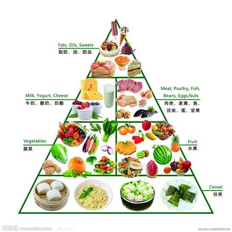 健康营养饮食结构图源文件__展板模板_广告设计_源文件图库_昵图网nipic.com