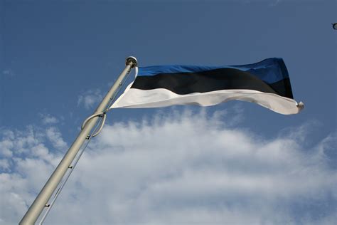 Free Estonian flag Stock Photo - FreeImages.com