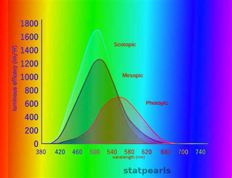 Photopic Vision Article