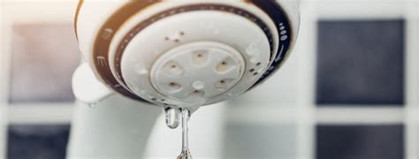 How to fix a leaky shower head - Mint Plumbing Services