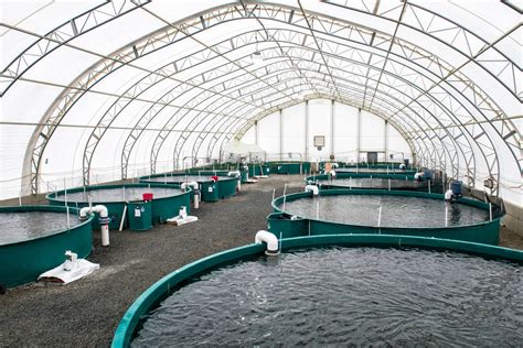 Fish farming done responsibly - Aquaculture Magazine