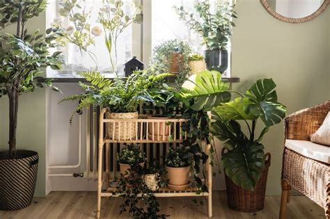 12 Creative Indoor Plant Rack Ideas for Greening Up Your Home